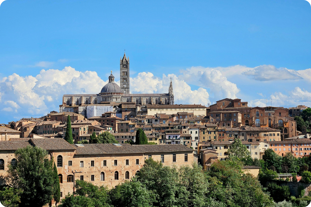 Progetto senza titolo - 2026-07-01T155012.522